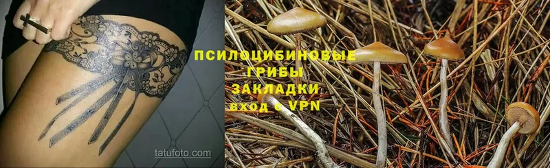 Галлюциногенные грибы Magic Shrooms  Аша 